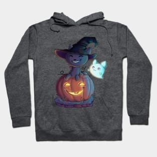 Potion Paws Pumpkin Scene Hoodie